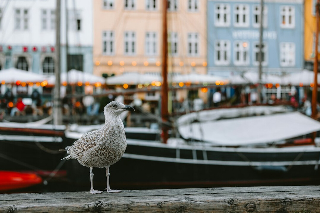 Danish fisherman standing at the harbor